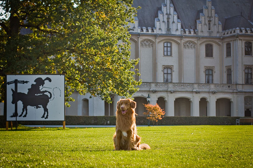 Edison sitzt vor dem Schloss Grafenegg auf dem Rasen und grinst immer noch