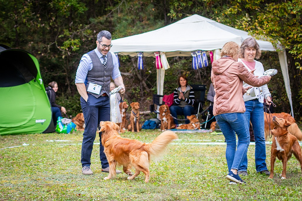 Stephan hat die Best of Breed Schleife erhalten, der sich ausgelassen mit Newton zusammen freut