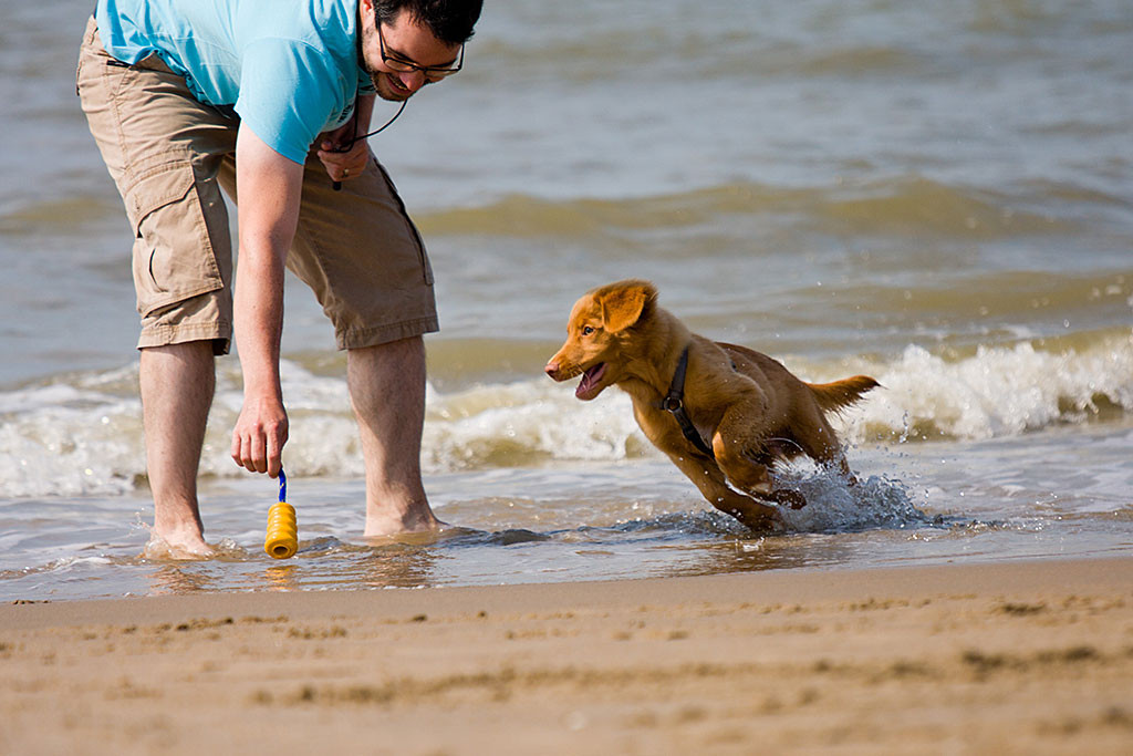 Edison spielt mit Herrchen im Wasser